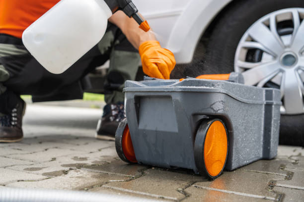 Best Stump Grinding and Removal  in Barstow, CA